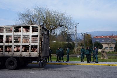 2016 03 17 FolgaServicarneFrigolouro13.JPG